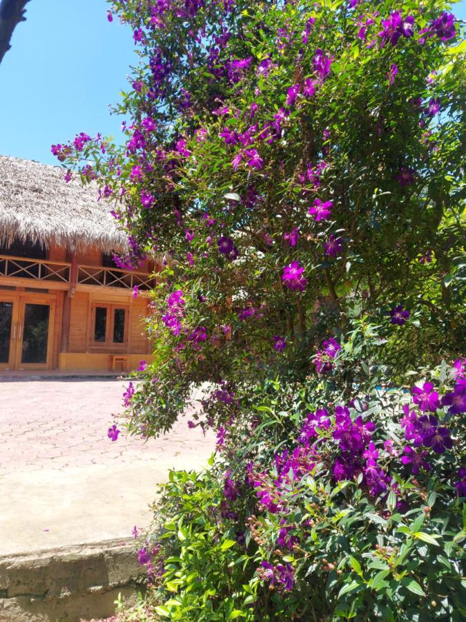 Flower Hmong Homestay Bac Ha  Exterior photo