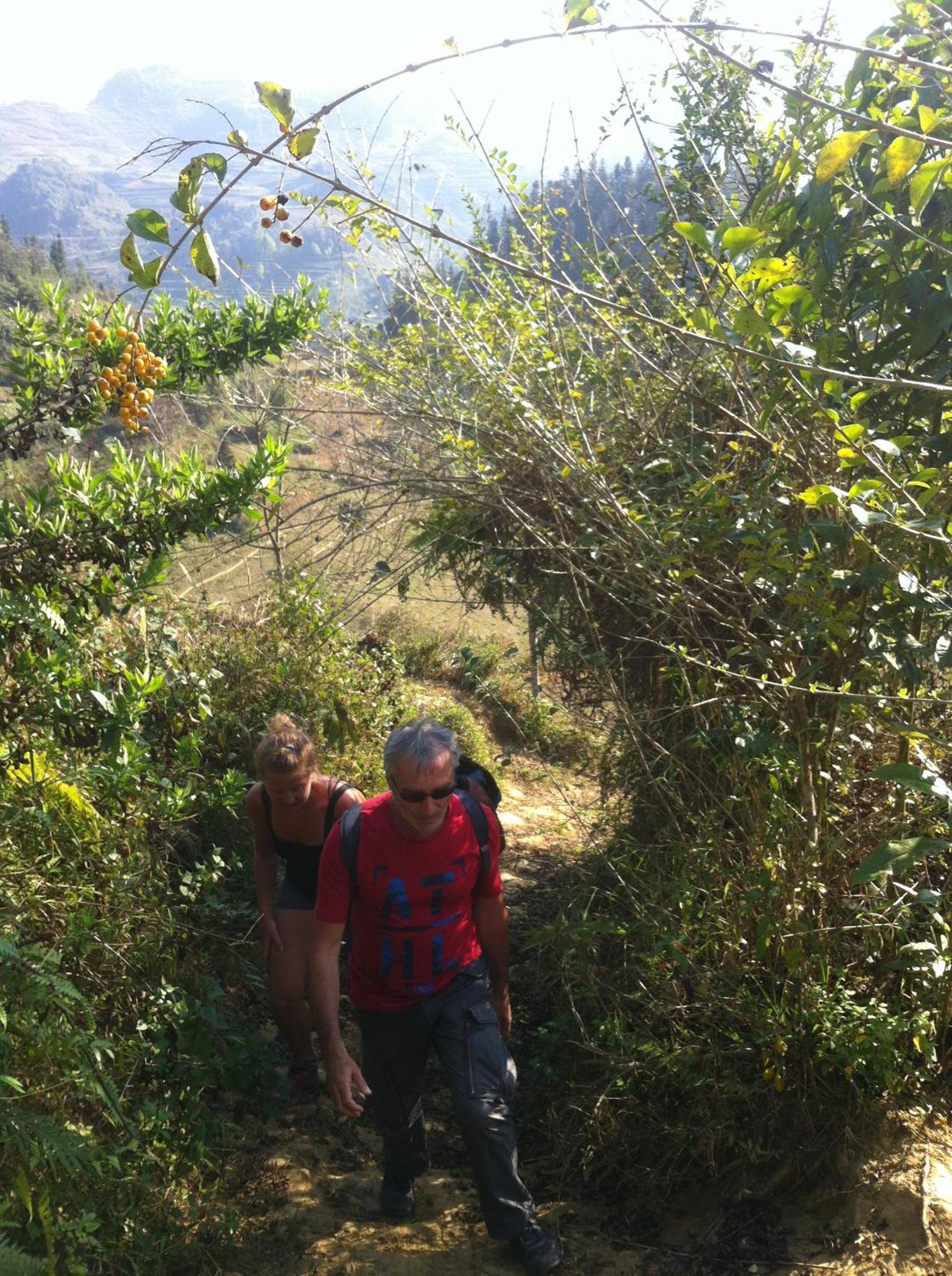 Flower Hmong Homestay Bac Ha  Exterior photo