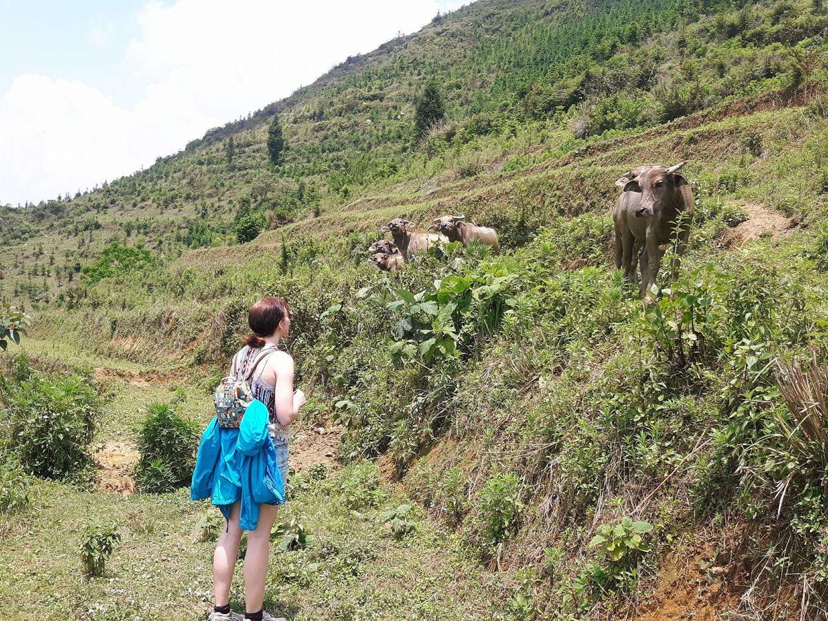 Flower Hmong Homestay Bac Ha  Exterior photo