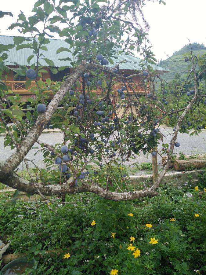 Flower Hmong Homestay Bac Ha  Exterior photo