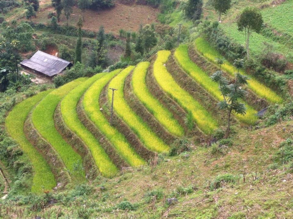 Flower Hmong Homestay Bac Ha  Exterior photo