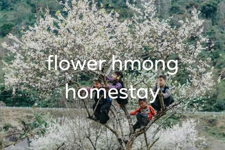 Flower Hmong Homestay Bac Ha  Exterior photo