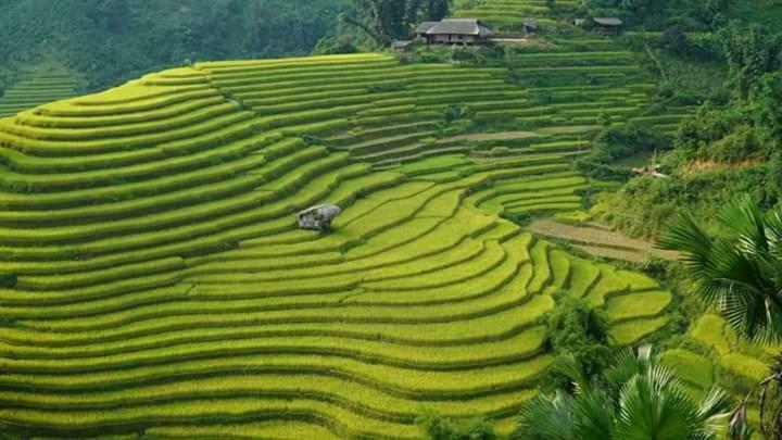 Flower Hmong Homestay Bac Ha  Exterior photo